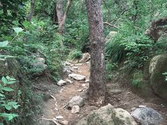 -北京鹫峰国家森林公园