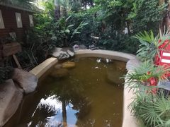 -稷泽·海丽宾雅温泉度假酒店