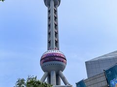 -上海海洋水族馆