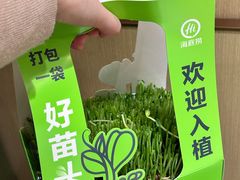 -海底捞火锅(万象城店)
