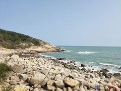 -广东惠东海龟国家级自然保护区