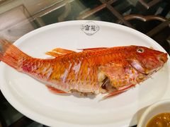 红鱼饭-吴记富苑(朝阳店)