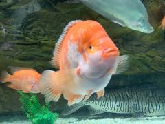 -多彩贵州城极地海洋世界