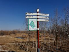 -东郊湿地公园