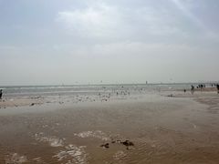 -老虎石海上公园