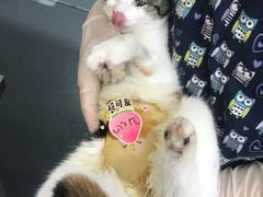 -爱侣宠医·鹦鹉专科·小型哺乳类·异宠专科(灵石路店)