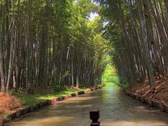 -同里国家湿地公园