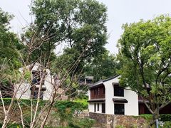 -杭州雅谷泉山庄酒店-餐厅