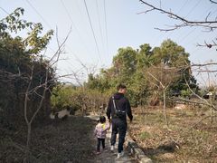 -张公山寨景区
