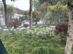 -扬州瘦西湖温泉