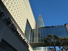 -深圳湾万象城(南山店)