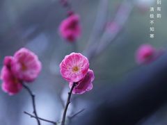 -尚贤河湿地