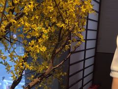 -上足·影院足道·SPA(红岭店)