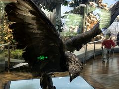 -陕西自然博物馆