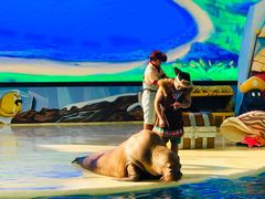 -三亚海昌梦幻海洋不夜城