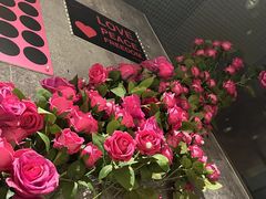 -海底捞火锅(新松江路店)