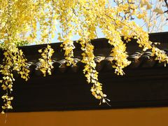 -西园戒幢律寺