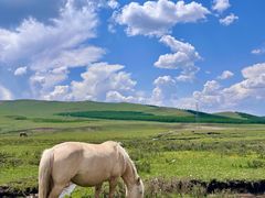 -塞罕坝国家级自然保护区