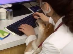 -美联众合动物医院·24h京西诊疗中心