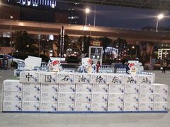 -中国石油徐东路加油站(武汉大道店)