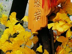 -大慈岩风景区