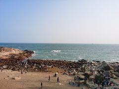 -广东惠东海龟国家级自然保护区