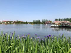 -上海长兴岛郊野公园