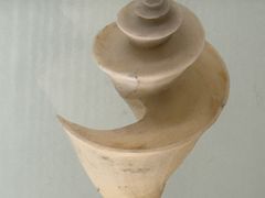 -青岛贝壳博物馆