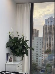 -Doris多里斯半永久纹眉·SMP纹发·发际线