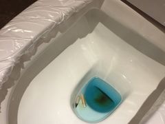 -萧邦音乐会所KTV·蒸汽活海鲜自助(福田店)