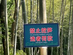 -上海佘山国家森林公园天马山园