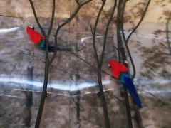 -杭州逸酒店(西湖武林店)