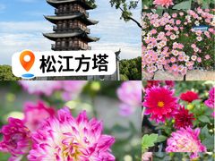 -上海方塔园
