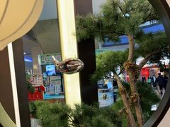 -望湘园·洞庭渔宴(永旺店)