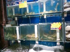 -蚝专家(北滘店)