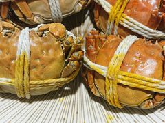 -阳澄湖大闸蟹·琼灵阁牌品牌连锁(吴中总店)