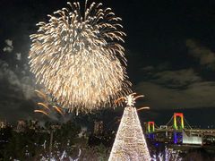 -台场海滨公园船码头