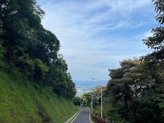 -黄埔油麻山森林公园
