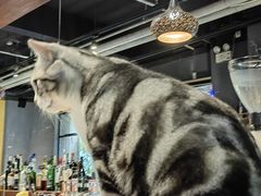 -咖法森林·咖啡  酒吧(天河店)