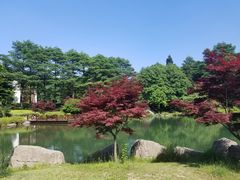 -四明山国家森林公园