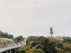 -仙岳公园