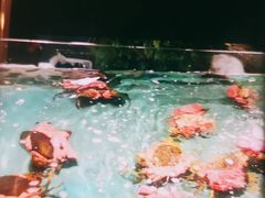 -宝燕海鲜(好爱店)