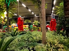 -南宫五洲植物乐园