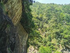 -东天目山风景区