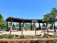 -上海野生动物园