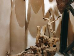 -耳艺采耳·足疗(东圃店)