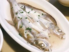 清蒸白丝鱼-沈厅酒家(周庄店)