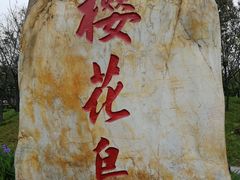 -映月湖公园