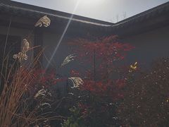 -太白山御龙湾温泉