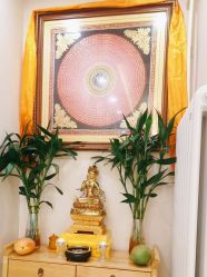 -慈蕊美容养生·专业经络调理